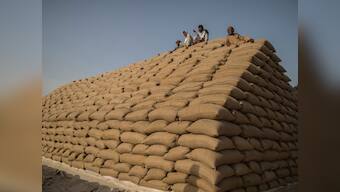 Untimely rains hit output: Indian millers buy 5 lakh t Australia wheat - biggest import in 10 years