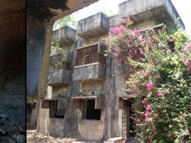 Gulberg society
