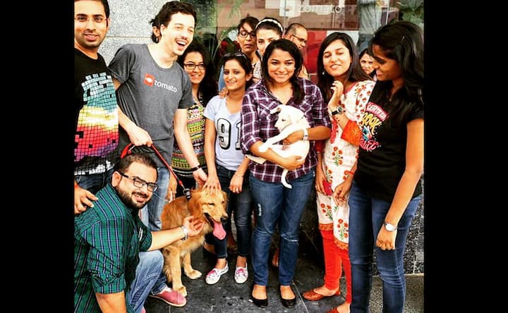 Uber just eased mid-week blues with some puppy love in Delhi Uber just eased mid-week blues with some puppy love in Delhi