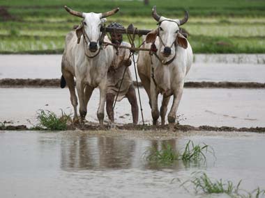Calm down, a failed monsoon wouldn’t really break the back of rural India now Calm down, a failed monsoon wouldn’t really break the back of rural India now