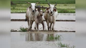 The great Indian irony: Farmers starve while politicians’ agricultural incomes continue to rise