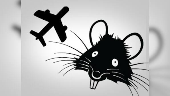 Pest pressure: Rat spotting forces Air India to recall Milan flight four hours into journey
