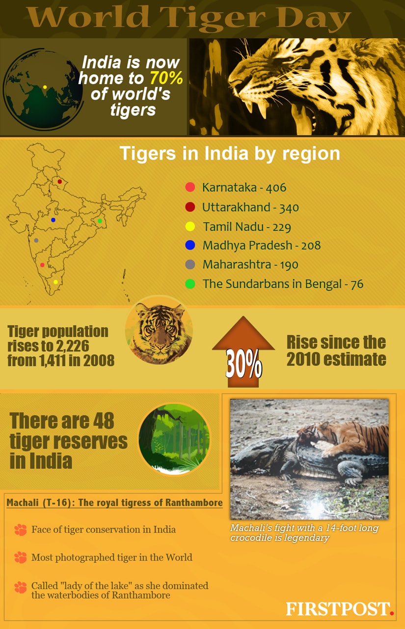 World Tiger Day infographic: India home to 70% of world's tigers ...