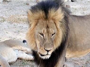 I have done nothing wrong, says hunter of Cecil the Lion