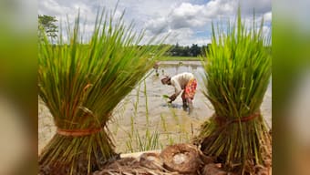 Eastern India gets an agri institute after 70 years: Will it quicken Green Revolution there?