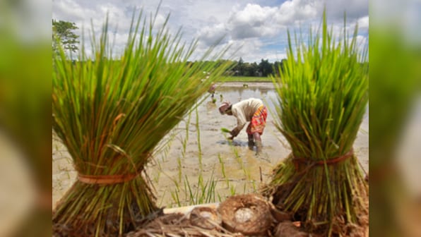 Cauvery dispute: Is Tamil Nadu's sloppy management and poor crop choice behind this watery mess?