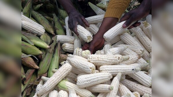 Leaders from southern Africa meet to tackle region's worst food crisis in a decade