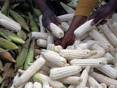 Leaders from southern Africa meet to tackle region's worst food crisis in a decade Leaders from southern Africa meet to tackle region's worst food crisis in a decade