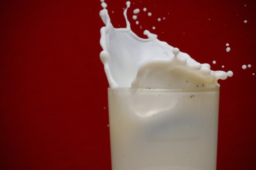 debunking-the-milk-myth-is-dairy-really-good-for-your-bones