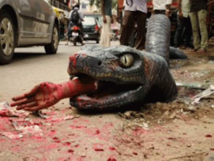 First crocodile and now it's an anaconda on the streets of Bengaluru: Here's why