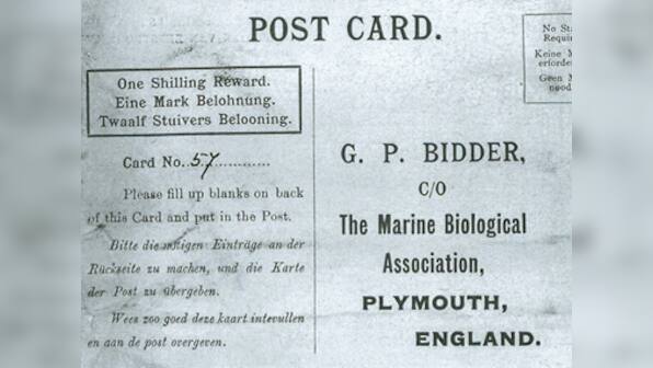 Guess what the 'oldest message in a bottle' says