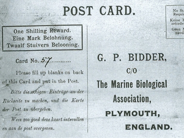 Guess what the 'oldest message in a bottle' says Guess what the 'oldest message in a bottle' says