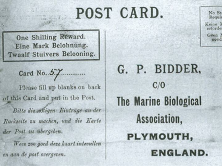 Guess what the 'oldest message in a bottle' says Guess what the 'oldest message in a bottle' says