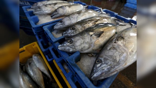 Something fishy! One-fifth of the seafood sold in markets is mislabelled