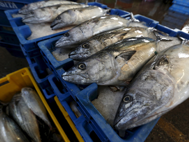 Something fishy! One-fifth of the seafood sold in markets is mislabelled Something fishy! One-fifth of the seafood sold in markets is mislabelled