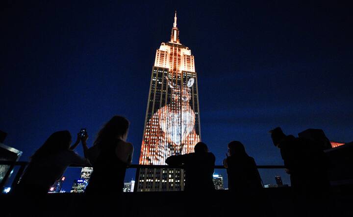 Cecil the Lion and other endangered animals light up the Empire State Building