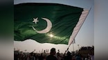 Pakistan Election: Opposition parties reject 'rigged' results, demand 're-election' even as PTI hastens effort to form coalition govt