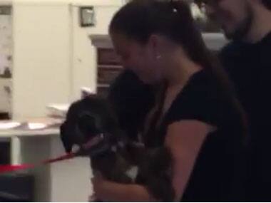 Screenshot from Facebook video.