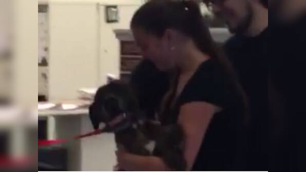 This video of a lost pet dog reuniting with owners after 9 years will melt your heart