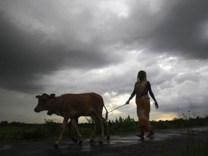 Odisha received 4% deficit rainfall in June: Special relief commissioner's office