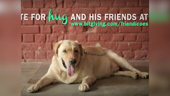 There is hope for Friendicoes: Animal lovers raise Rs 13 lakhs in a day after NGO faces funds crunch