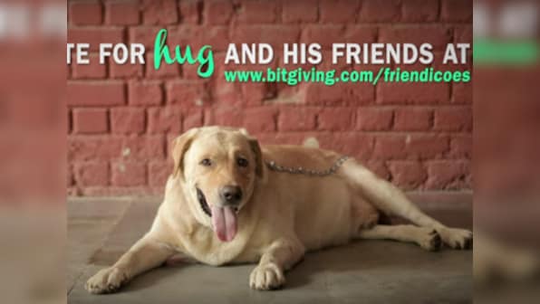 There is hope for Friendicoes: Animal lovers raise Rs 13 lakhs in a day after NGO faces funds crunch