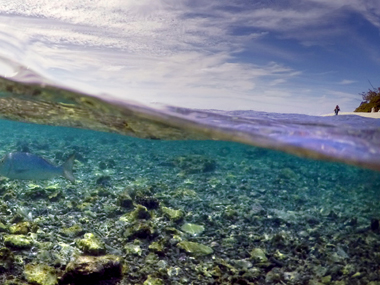 End of road? Bank ends adviser role in blow for Adani's Australian coal mine End of road? Bank ends adviser role in blow for Adani's Australian coal mine