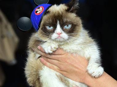 Grumpiest statue ever? Internet sensation Grumpy Cat to become wax figure at Madame Tussauds Grumpiest statue ever? Internet sensation Grumpy Cat to become wax figure at Madame Tussauds