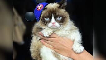 Grumpiest statue ever? Internet sensation Grumpy Cat to become wax figure at Madame Tussauds