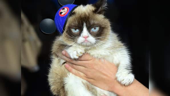 Grumpiest statue ever? Internet sensation Grumpy Cat to become wax figure at Madame Tussauds
