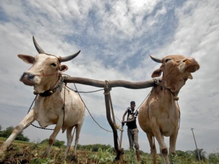 Harmful to rural economy: RSS-affiliated Kisan Sangh protests against 100% FDI in farm sector