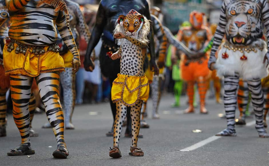 Indian artists with their bodies painted with the likeness of tigers perform during the 'Pulikali' or Tiger Dance procession in Thrissur, Kerala state, India, Monday, Aug. 31, 2015. This folk art festival is held every year in this town to entertain people during the harvest festival ‘Onam’. (AP Photo/Arun Sankar K.)