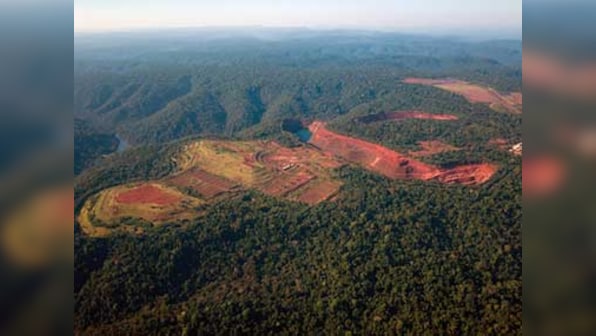 At UN climate talks, African countries aim to restore 100 million hectares of forest