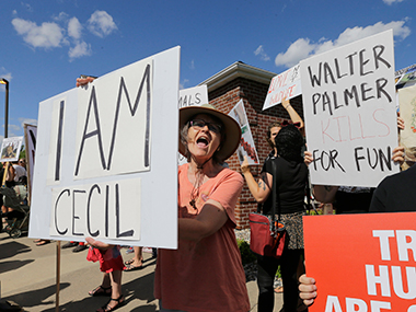If I had known this lion had a name, I wouldn't have killed it, says Cecil's hunter Walter Palmer If I had known this lion had a name, I wouldn't have killed it, says Cecil's hunter Walter Palmer