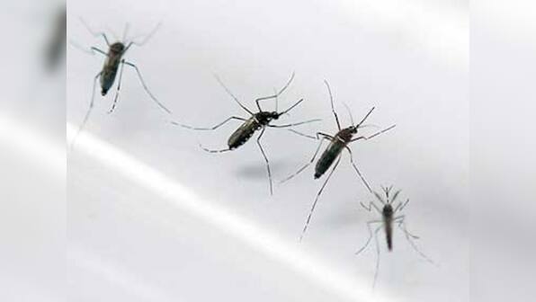 Delhi: Cases of Dengue fever have touched 1,259, highest in five years