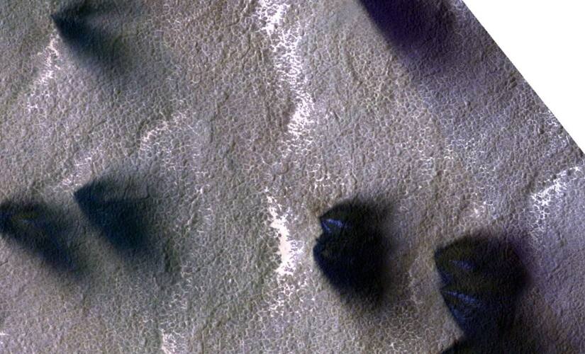 The 'Lizard Skin' Terrain. Image Credit: Nasa