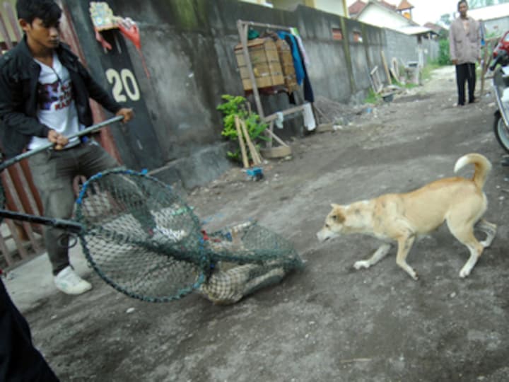 Firstpost Image
