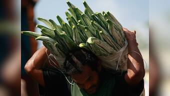 Agriculture's big hope: Farmer producer companies learn to tame middlemen