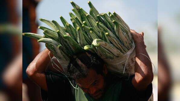 Agriculture's big hope: Farmer producer companies learn to tame middlemen