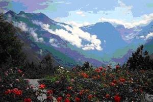 Uttarakhand