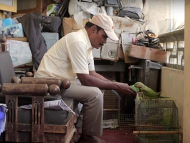 The Birdman of Chennai: This man feeds thousands of parrots everyday, and he does it for love