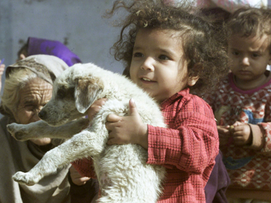 In novel move, Goa schools tie up with PETA to sensitise students on animal cruelty In novel move, Goa schools tie up with PETA to sensitise students on animal cruelty