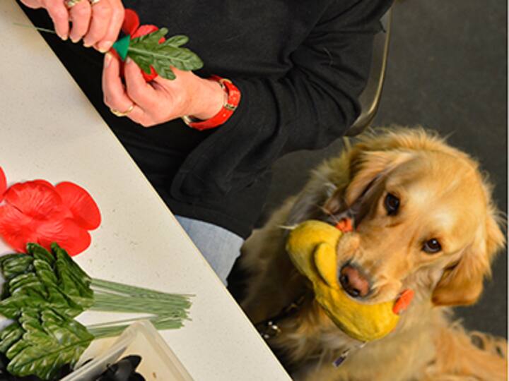 London restaurant refuses entry to blind teenager after objecting to 'guide dog', gets social media ire