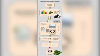 Malvertising campaign that remained undetected for 3 weeks