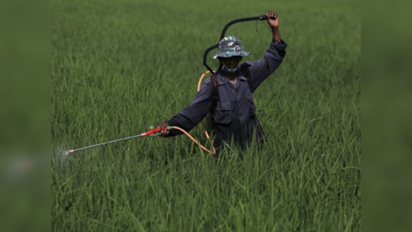 Spurious pesticides market in India at Rs 3,200 cr, retailers key culprit: Study