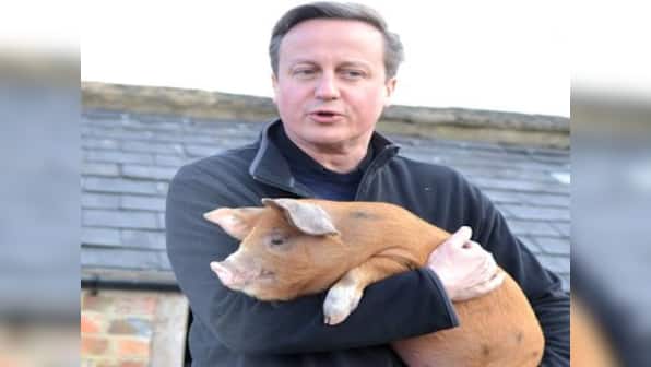 British PM David Cameron did unmentionable things to a dead pig, claims new book