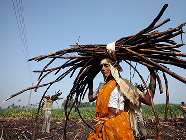 As water woes hit Maharashtra, government considers ban on water-guzzling sugarcane As water woes hit Maharashtra, government considers ban on water-guzzling sugarcane
