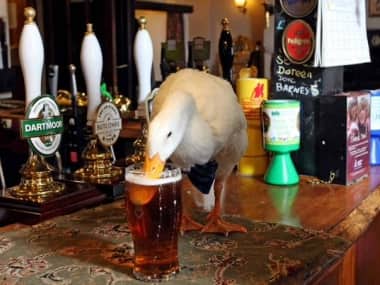 Star having a drink. Twitter @WMNNews