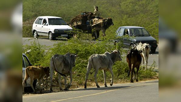Moo ! Cows burp methane, so beef is 'middle finger to the planet'