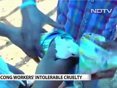 Incredible idiocy: To impress politician, AP Congress workers stuff doves into rockets